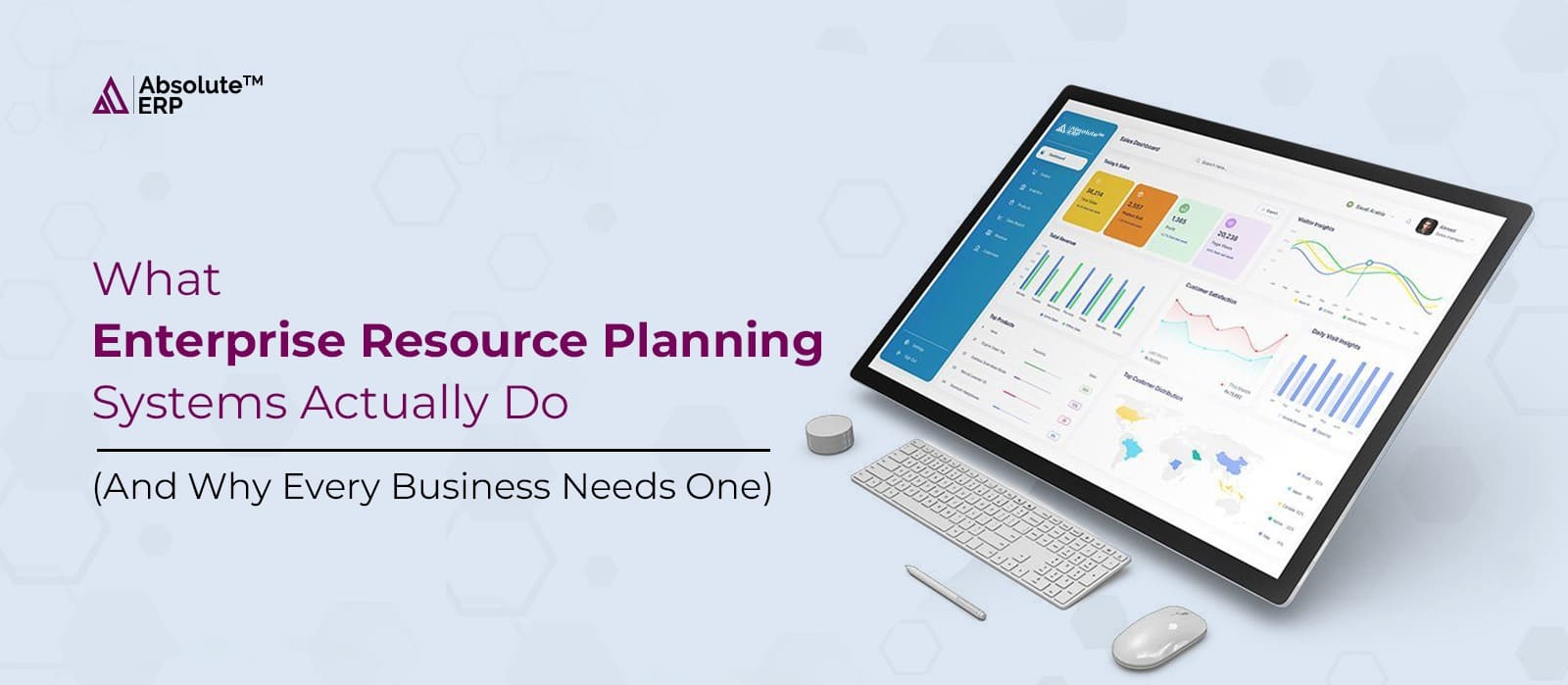 What Enterprise Resource Planning Systems Actually Do?