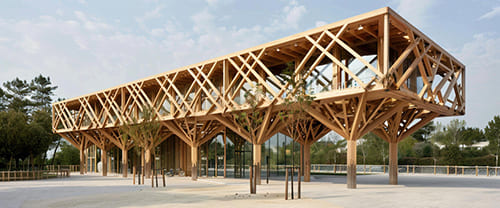 Outdoor and designer wood