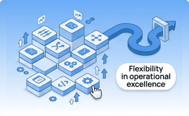 Flexibility in operational excellence