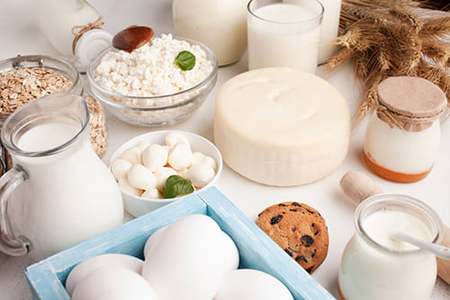 Dairy